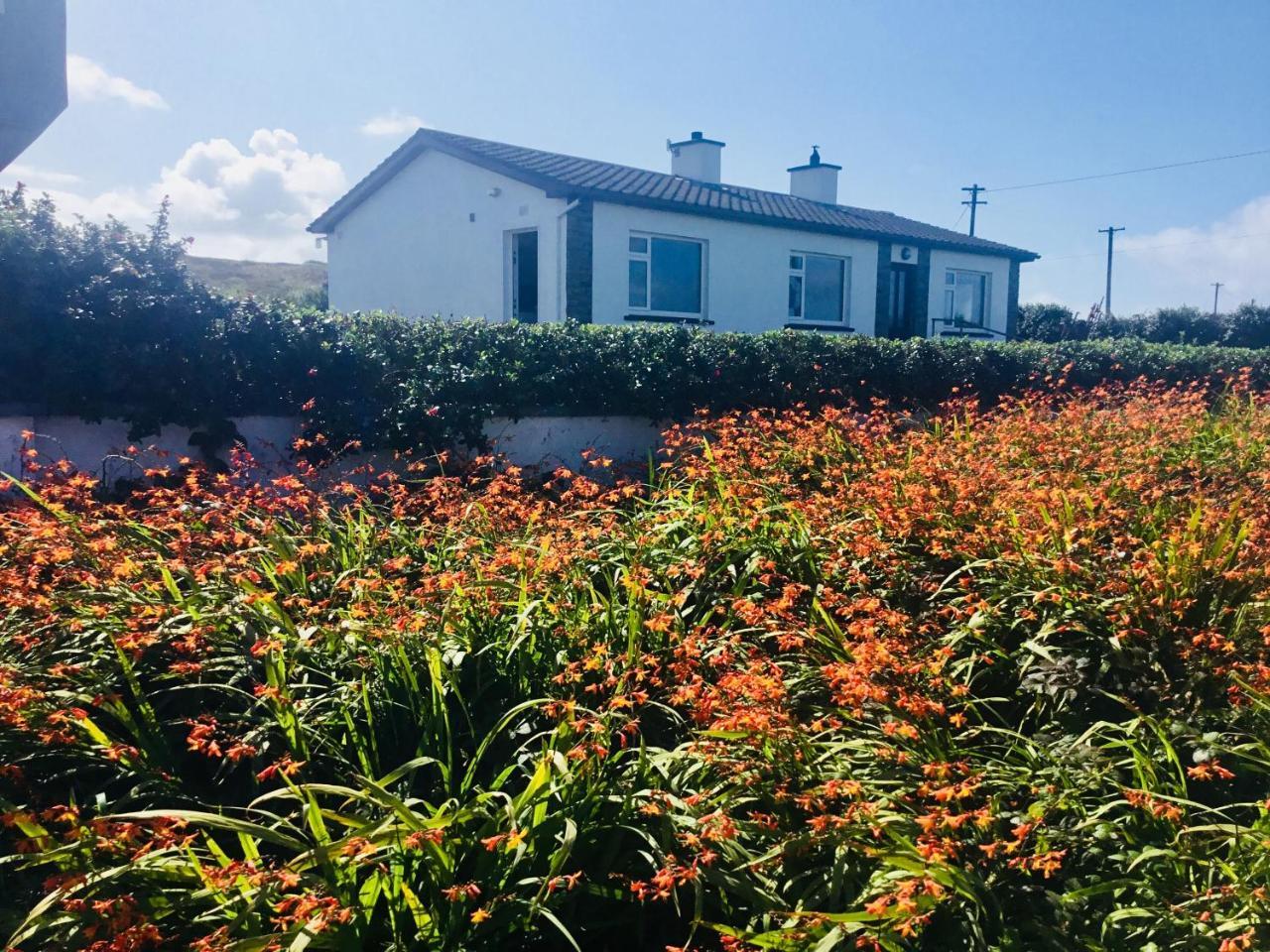 Doolin View Apartment Exteriör bild